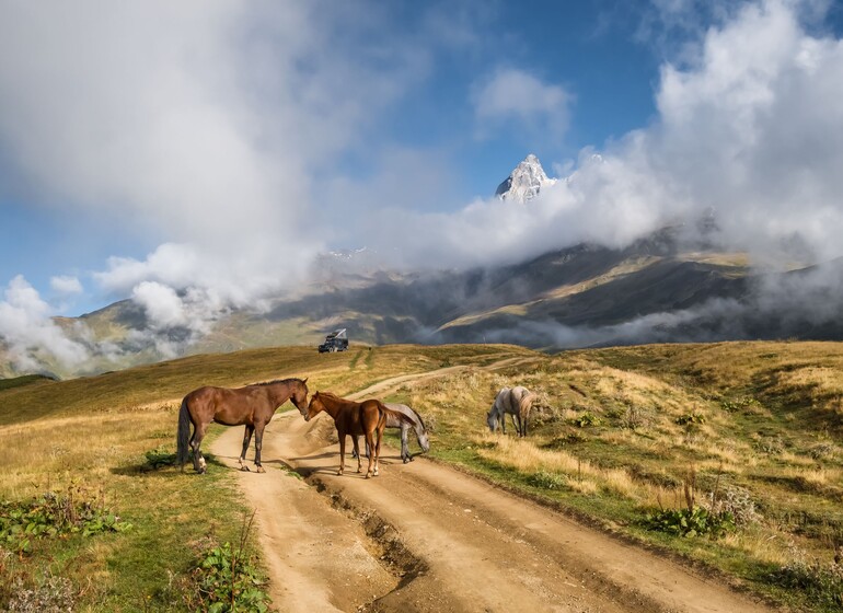 randonnée Svanétie chevaux Caucase Géorgie Mazeri