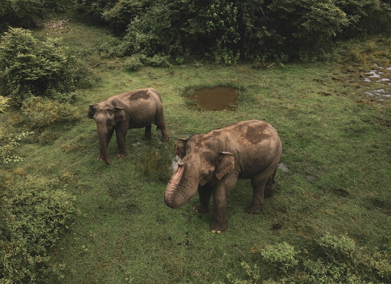 Circuit Est du Cambodge