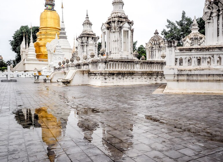 wat suan dok chaing mai